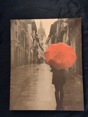 Red Rain by Stefano Corso Gallery-Wrapped Canvas 15 x 19 Art Print Wall Decor